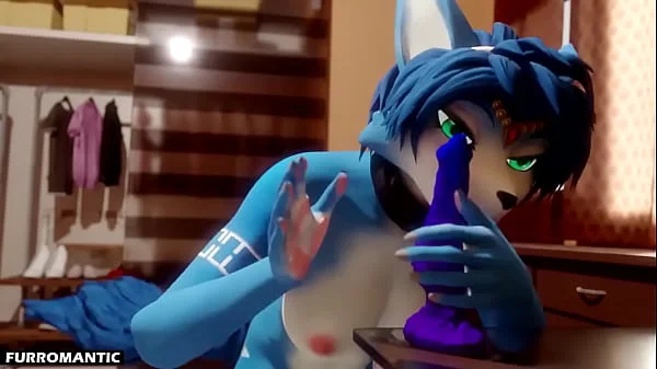 Furry Compilation (HMV/PMV)