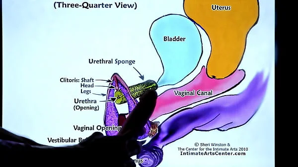 SQUIRTING TUTORIAL #2 - How to Make Girl SQUIRT?