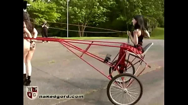 The Red Pony Cart